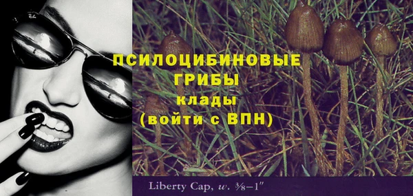 мет Нягань