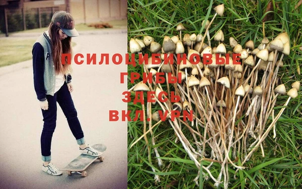 твердый Нязепетровск