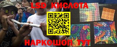 шишки Будённовск