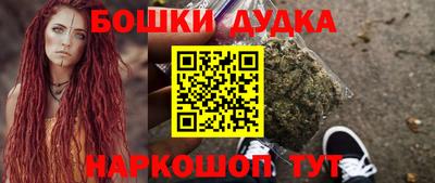 шишки Будённовск