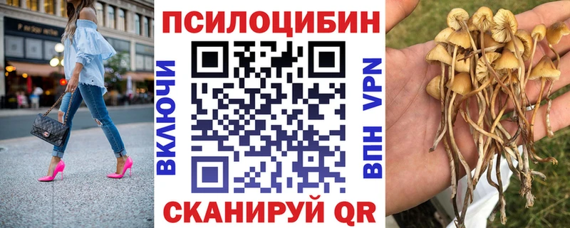 блэк спрут вход  Сафоново  Псилоцибиновые грибы Magic Shrooms 