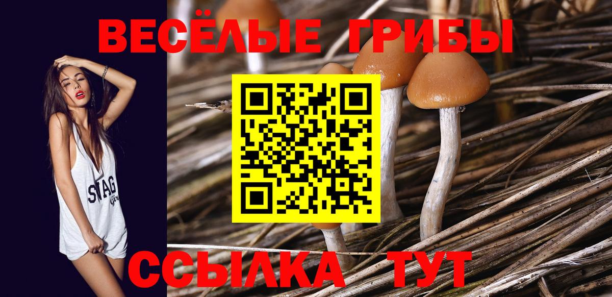 Псилоцибиновые грибы ЛСД Сафоново