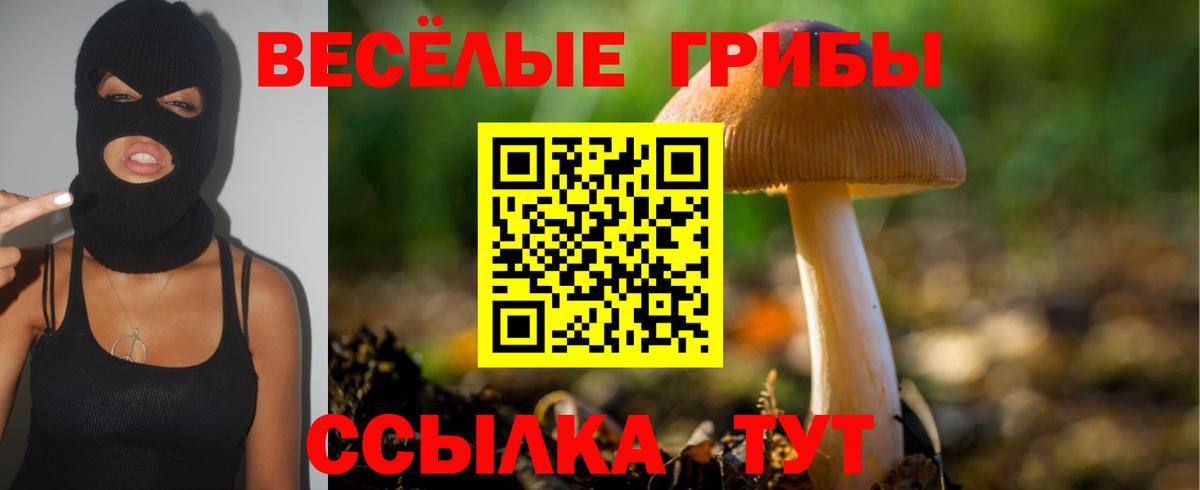 Псилоцибиновые грибы GOLDEN TEACHER  Вход с VPN  Псилоцибиновые грибы Magic Shrooms  Сафоново 